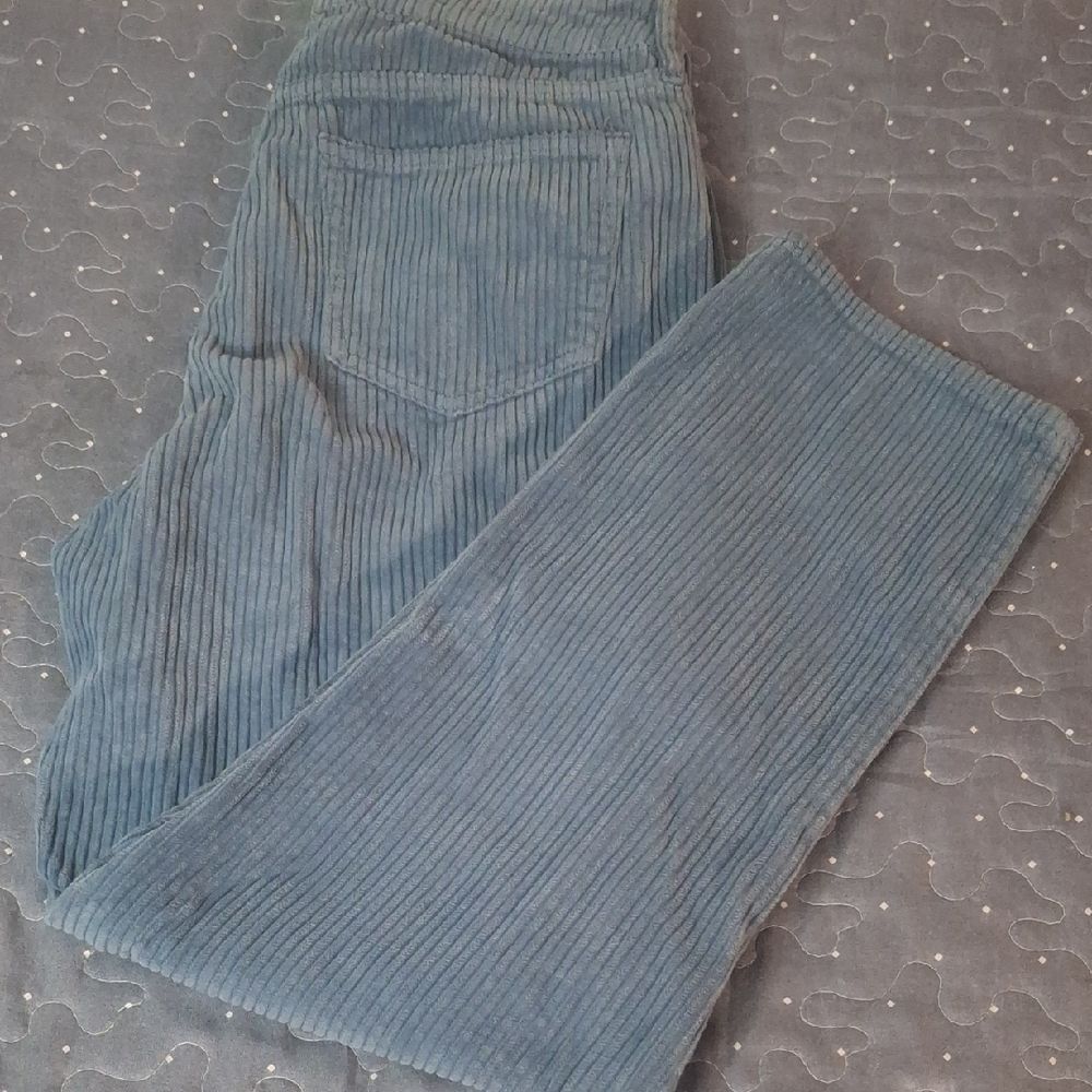 PacSun Light Blue Corduroy Mom Jeans pants size 28